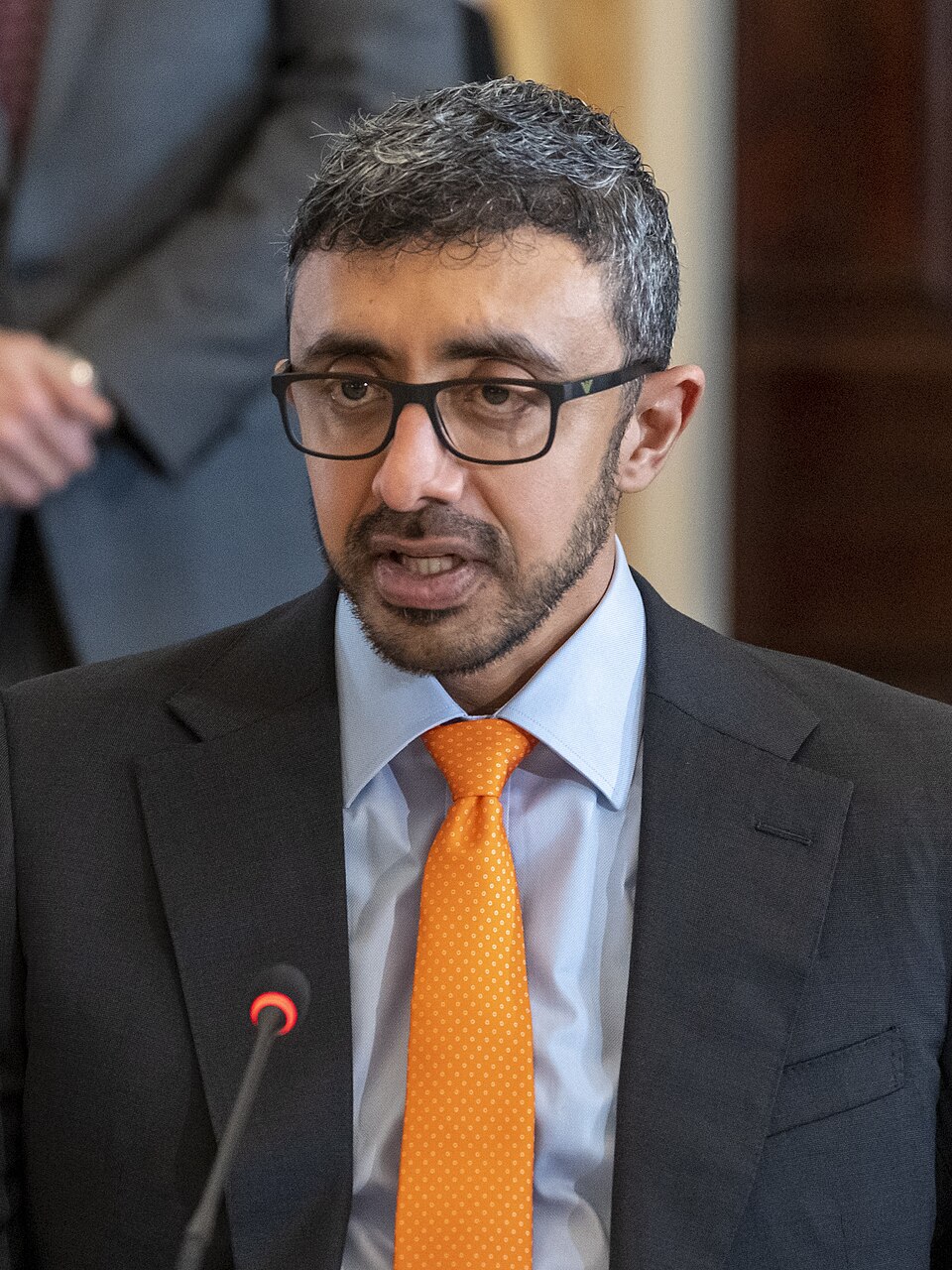 Abdullah bin Zayed Al Nahyan